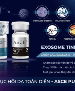 ASCE -EXOSOME